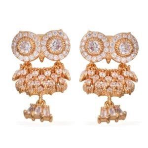 Swinging Owl Earrings